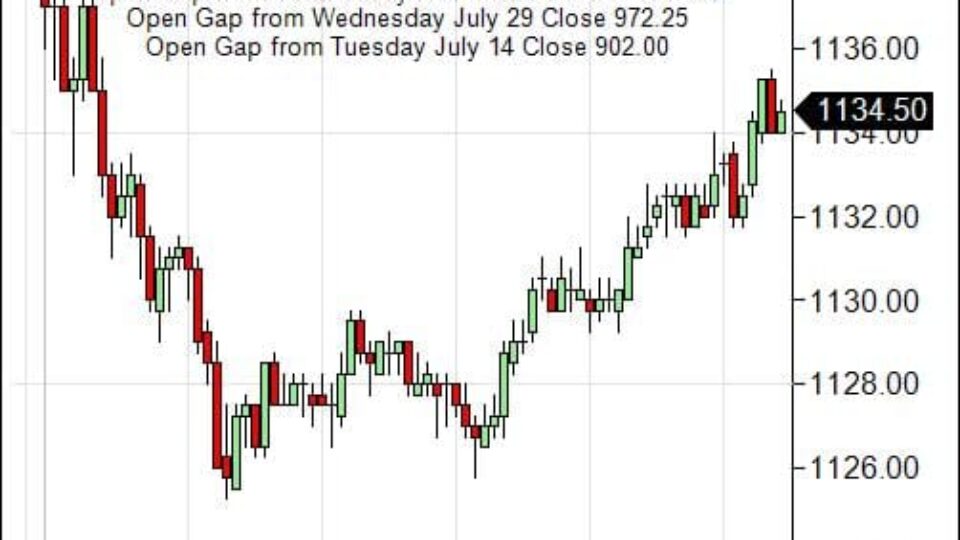 S&P 500 Emini Day Trading Gap Thursday January 21, 2010