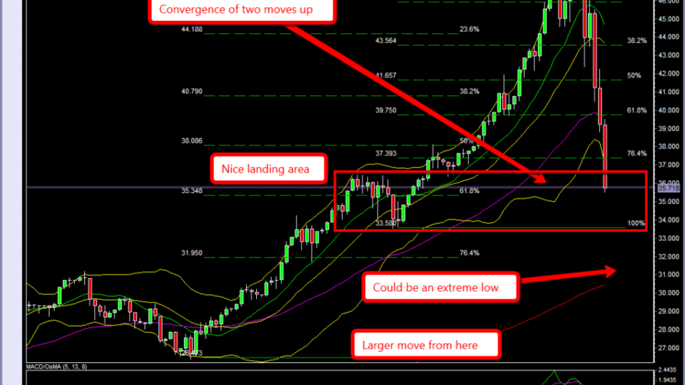 Silver_Bottom_picking Be Careful.