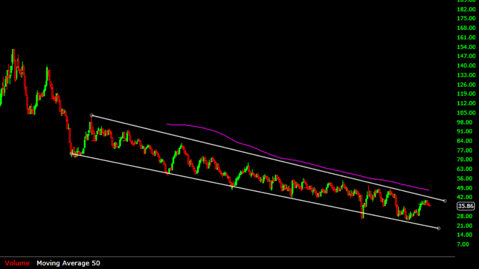 bonds monthly