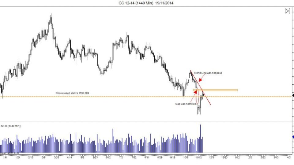 GC 12-14 (1440 Min) 19_11_2014